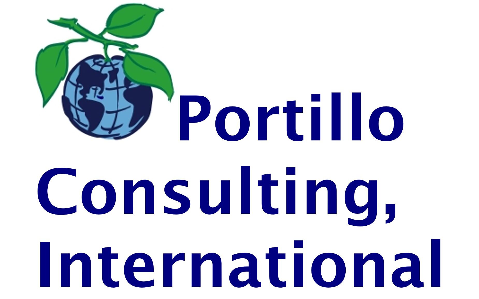 Portillo Consulting International